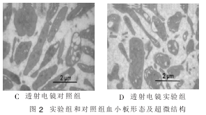 論文摘要