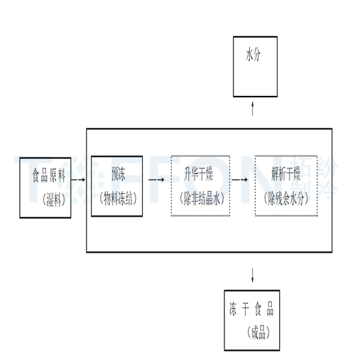 冷凍干燥機(jī)|凍干機(jī)|真空冷凍干燥機(jī)|大型冷凍干燥機(jī)|食品凍干機(jī)|制藥真空冷凍干燥機(jī)|食品凍干設(shè)備|制藥冷凍干燥機(jī)