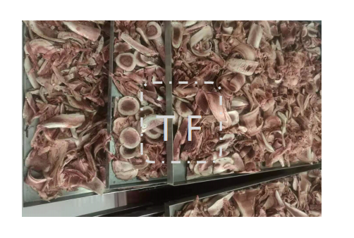 冷凍干燥機|凍干機|真空冷凍干燥機|大型冷凍干燥機|食品凍干機|制藥真空冷凍干燥機|食品凍干設(shè)備|制藥冷凍干燥機