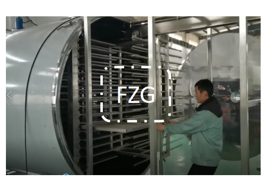 冷凍干燥機|凍干機|真空冷凍干燥機|大型冷凍干燥機|食品凍干機|制藥真空冷凍干燥機|食品凍干設備|制藥冷凍干燥機