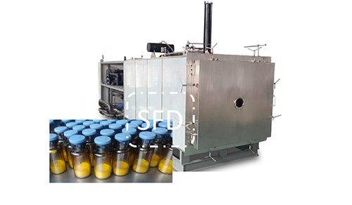 冷凍干燥機|凍干機|真空冷凍干燥機|大型冷凍干燥機|食品凍干機|制藥真空冷凍干燥機|食品凍干設備|制藥冷凍干燥機