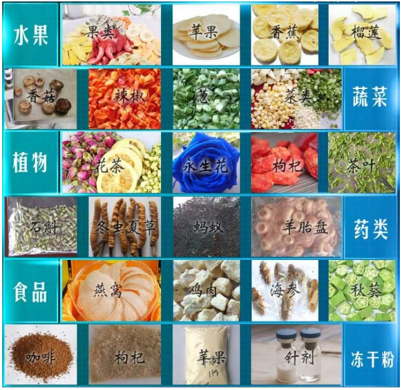 冷凍干燥機(jī)|凍干機(jī)|真空冷凍干燥機(jī)|大型冷凍干燥機(jī)|食品凍干機(jī)|制藥真空冷凍干燥機(jī)|食品凍干設(shè)備|制藥冷凍干燥機(jī) 冷凍干燥機(jī)|凍干機(jī)|真空冷凍干燥機(jī)|大型冷凍干燥機(jī)|食品凍干機(jī)|制藥真空冷凍干燥機(jī)|食品凍干設(shè)備|制藥冷凍干燥機(jī)