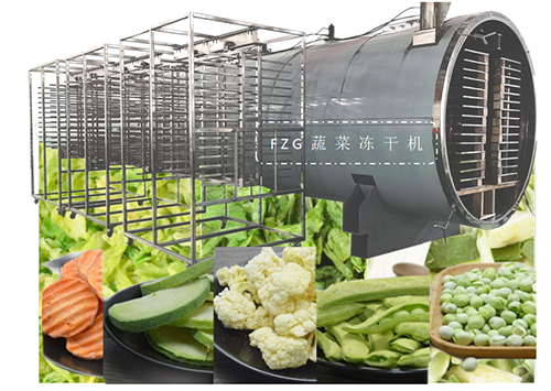 冷凍干燥機