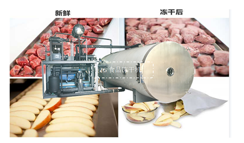 冷凍干燥機