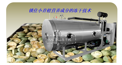 冷凍干燥機(jī)