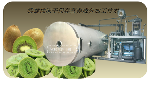 冷凍干燥機(jī)