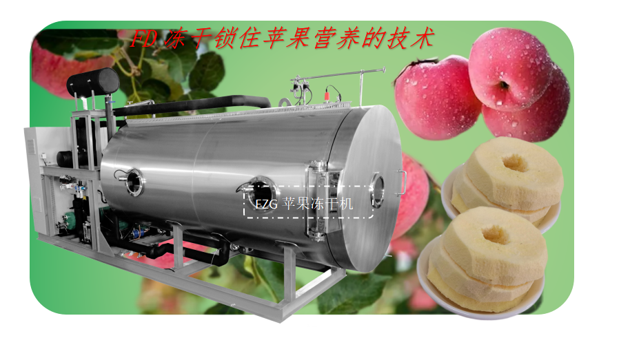 冷凍干燥機(jī)