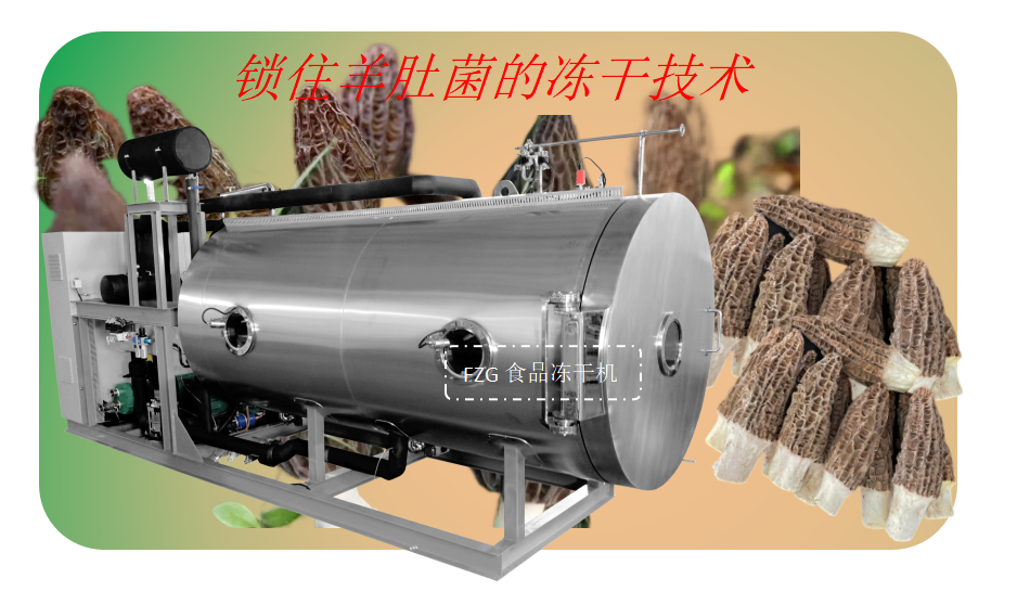 冷凍干燥機