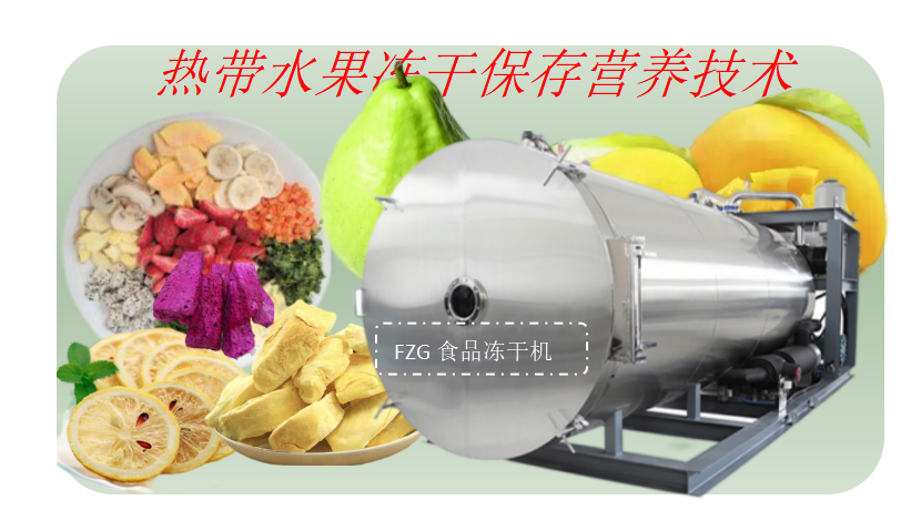 冷凍干燥機(jī)