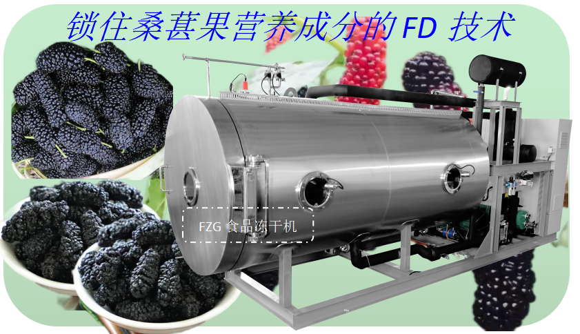 冷凍干燥機