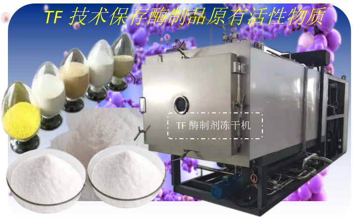 冷凍干燥機