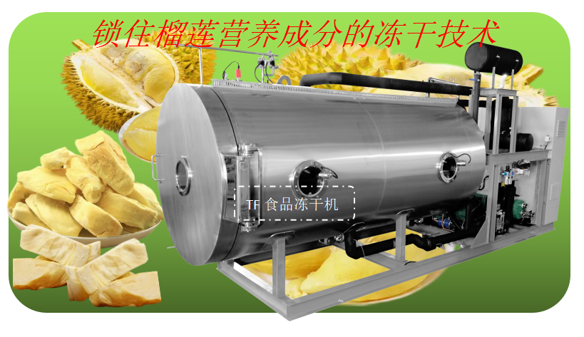 冷凍干燥機(jī)