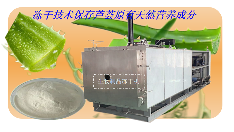 冷凍干燥機(jī)|凍干機(jī)|真空冷凍干燥機(jī)|大型冷凍干燥機(jī)|食品凍干機(jī)|制藥真空冷凍干燥機(jī)|食品凍干設(shè)備|制藥冷凍干燥機(jī)