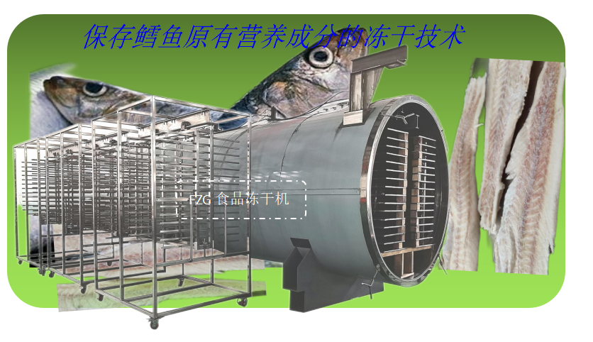 冷凍干燥機|凍干機|真空冷凍干燥機|大型冷凍干燥機|食品凍干機|制藥真空冷凍干燥機|食品凍干設備|制藥冷凍干燥機