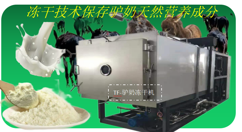 冷凍干燥機|凍干機|真空冷凍干燥機|大型冷凍干燥機|食品凍干機|制藥真空冷凍干燥機|食品凍干設(shè)備|制藥冷凍干燥機