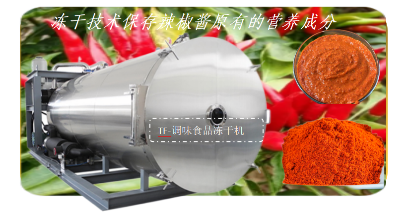冷凍干燥機|凍干機|真空冷凍干燥機|大型冷凍干燥機|食品凍干機|制藥真空冷凍干燥機|食品凍干設備|制藥冷凍干燥機