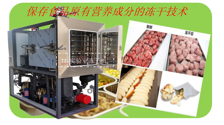 冷凍干燥機(jī)|凍干機(jī)|真空冷凍干燥機(jī)|大型冷凍干燥機(jī)|食品凍干機(jī)|制藥真空冷凍干燥機(jī)|食品凍干設(shè)備|制藥冷凍干燥機(jī)