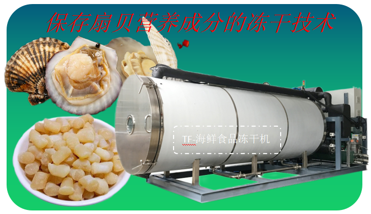 冷凍干燥機|凍干機|真空冷凍干燥機|大型冷凍干燥機|食品凍干機|制藥真空冷凍干燥機|食品凍干設備|制藥冷凍干燥機