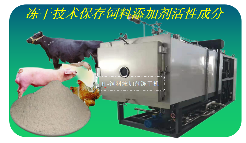 冷凍干燥機|凍干機|真空冷凍干燥機|大型冷凍干燥機|食品凍干機|制藥真空冷凍干燥機|食品凍干設備|制藥冷凍干燥機