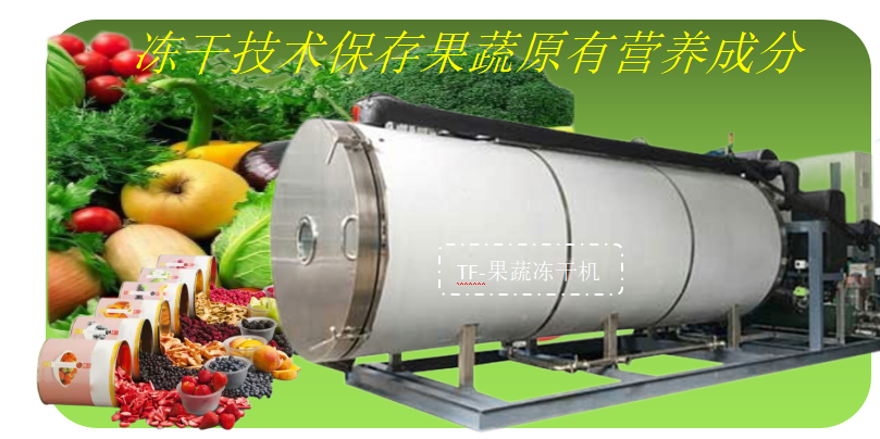 冷凍干燥機(jī)|凍干機(jī)|真空冷凍干燥機(jī)|大型冷凍干燥機(jī)|食品凍干機(jī)|制藥真空冷凍干燥機(jī)|食品凍干設(shè)備|制藥冷凍干燥機(jī)