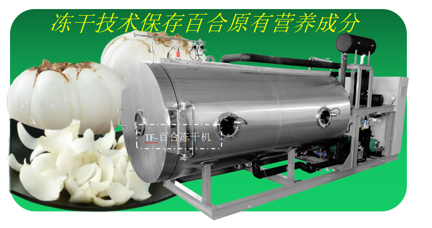 冷凍干燥機(jī)|凍干機(jī)|真空冷凍干燥機(jī)|大型冷凍干燥機(jī)|食品凍干機(jī)|制藥真空冷凍干燥機(jī)|食品凍干設(shè)備|制藥冷凍干燥機(jī)