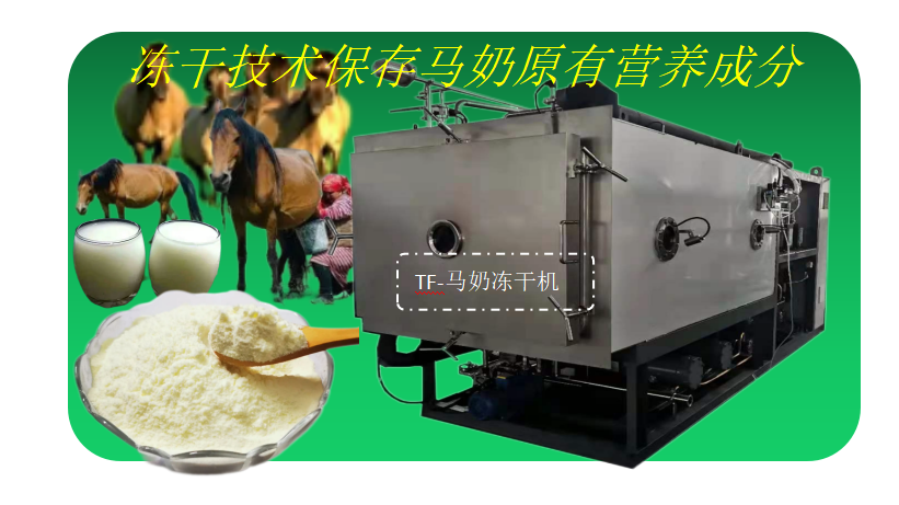 冷凍干燥機(jī)|凍干機(jī)|真空冷凍干燥機(jī)|大型冷凍干燥機(jī)|食品凍干機(jī)|制藥真空冷凍干燥機(jī)|食品凍干設(shè)備|制藥冷凍干燥機(jī)