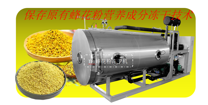 冷凍干燥機|凍干機|真空冷凍干燥機|大型冷凍干燥機|食品凍干機|制藥真空冷凍干燥機|食品凍干設(shè)備|制藥冷凍干燥機