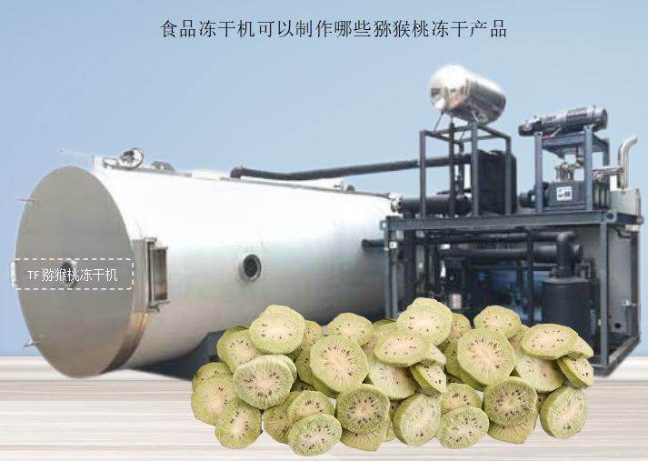 冷凍干燥機(jī)|凍干機(jī)|真空冷凍干燥機(jī)|大型冷凍干燥機(jī)|食品凍干機(jī)|制藥真空冷凍干燥機(jī)|食品凍干設(shè)備|制藥冷凍干燥機(jī)