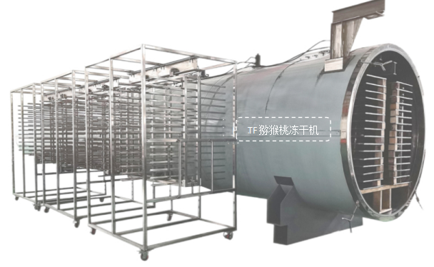 冷凍干燥機(jī)|凍干機(jī)|真空冷凍干燥機(jī)|大型冷凍干燥機(jī)|食品凍干機(jī)|制藥真空冷凍干燥機(jī)|食品凍干設(shè)備|制藥冷凍干燥機(jī)