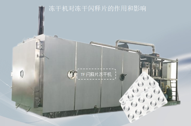 冷凍干燥機|凍干機|真空冷凍干燥機|大型冷凍干燥機|食品凍干機|制藥真空冷凍干燥機|食品凍干設(shè)備|制藥冷凍干燥機