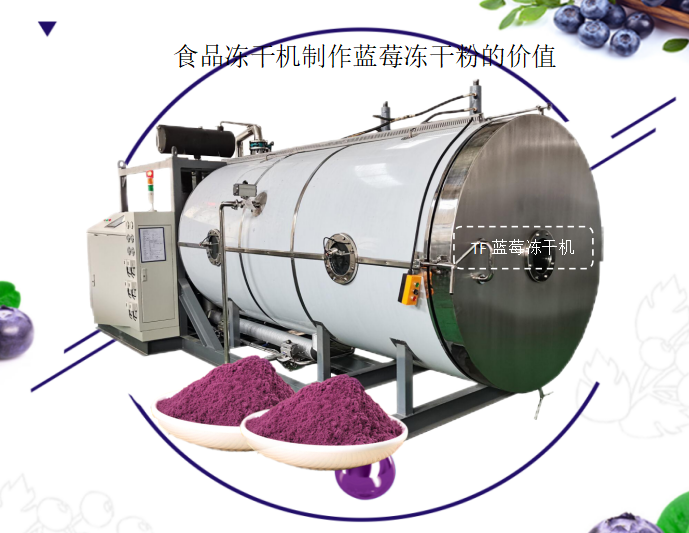 冷凍干燥機|凍干機|真空冷凍干燥機|大型冷凍干燥機|食品凍干機|制藥真空冷凍干燥機|食品凍干設備|制藥冷凍干燥機