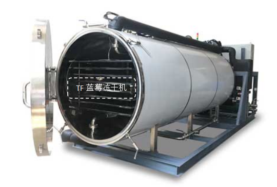 冷凍干燥機|凍干機|真空冷凍干燥機|大型冷凍干燥機|食品凍干機|制藥真空冷凍干燥機|食品凍干設備|制藥冷凍干燥機