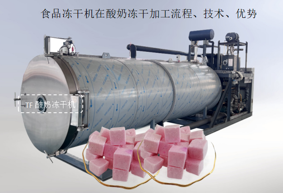 冷凍干燥機|凍干機|真空冷凍干燥機|大型冷凍干燥機|食品凍干機|制藥真空冷凍干燥機|食品凍干設(shè)備|制藥冷凍干燥機