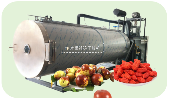 冷凍干燥機|凍干機|真空冷凍干燥機|大型冷凍干燥機|食品凍干機|制藥真空冷凍干燥機|食品凍干設備|制藥冷凍干燥機