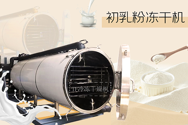 冷凍干燥機|凍干機|真空冷凍干燥機|大型冷凍干燥機|食品凍干機|制藥真空冷凍干燥機|食品凍干設(shè)備|制藥冷凍干燥機