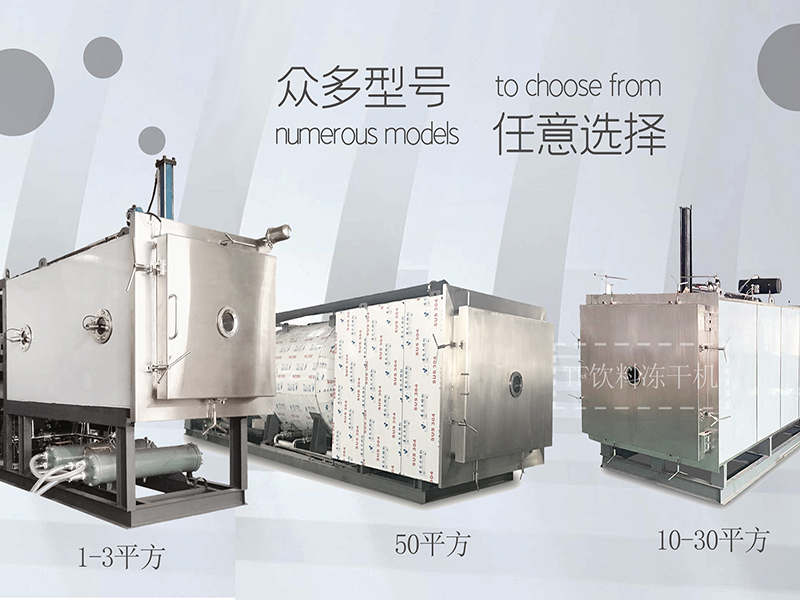 冷凍干燥機|凍干機|真空冷凍干燥機|大型冷凍干燥機|食品凍干機|制藥真空冷凍干燥機|食品凍干設(shè)備|制藥冷凍干燥機