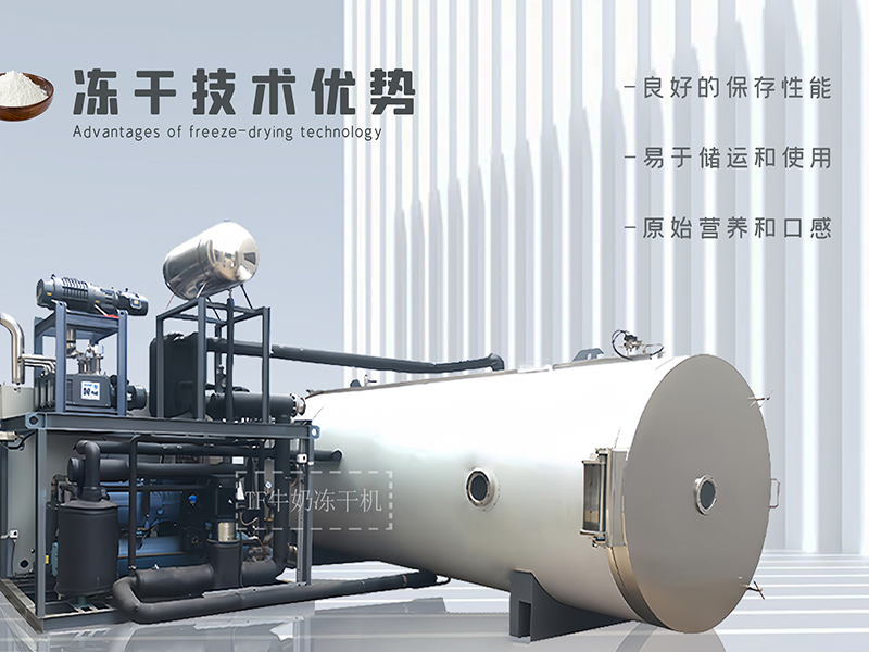冷凍干燥機|凍干機|真空冷凍干燥機|大型冷凍干燥機|食品凍干機|制藥真空冷凍干燥機|食品凍干設備|制藥冷凍干燥機