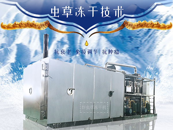 冷凍干燥機(jī)|凍干機(jī)|真空冷凍干燥機(jī)|大型冷凍干燥機(jī)|食品凍干機(jī)|制藥真空冷凍干燥機(jī)|食品凍干設(shè)備|制藥冷凍干燥機(jī)