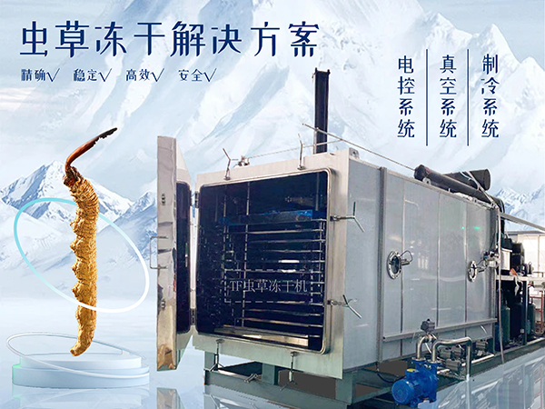 冷凍干燥機(jī)|凍干機(jī)|真空冷凍干燥機(jī)|大型冷凍干燥機(jī)|食品凍干機(jī)|制藥真空冷凍干燥機(jī)|食品凍干設(shè)備|制藥冷凍干燥機(jī)