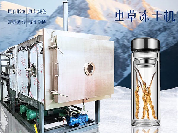 冷凍干燥機(jī)|凍干機(jī)|真空冷凍干燥機(jī)|大型冷凍干燥機(jī)|食品凍干機(jī)|制藥真空冷凍干燥機(jī)|食品凍干設(shè)備|制藥冷凍干燥機(jī)