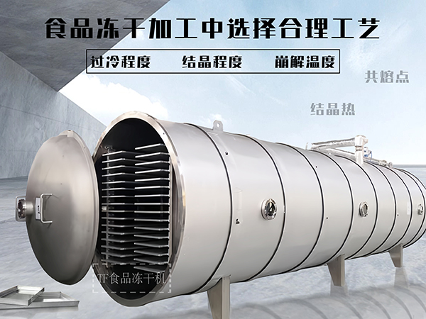 冷凍干燥機|凍干機|真空冷凍干燥機|大型冷凍干燥機|食品凍干機|制藥真空冷凍干燥機|食品凍干設(shè)備|制藥冷凍干燥機