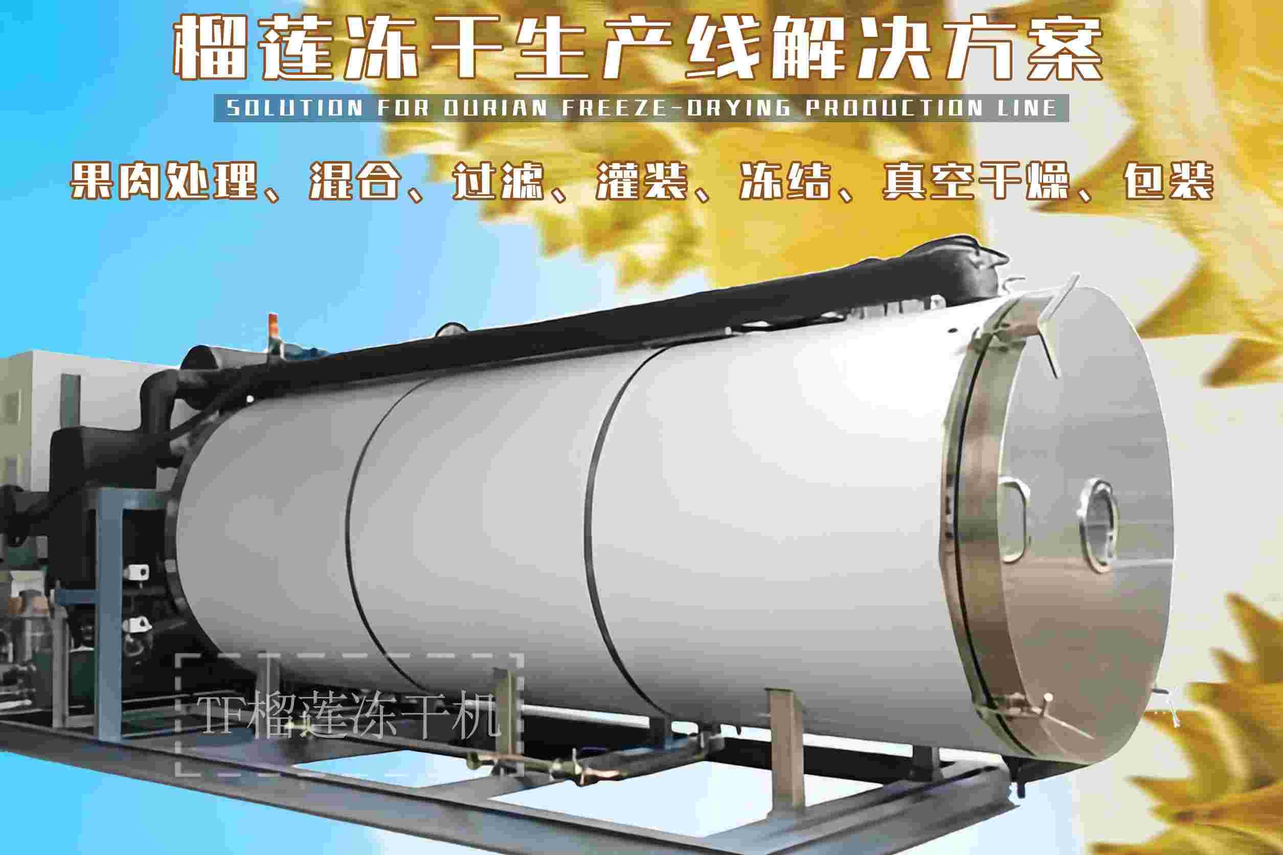 冷凍干燥機|凍干機|真空冷凍干燥機|大型冷凍干燥機|食品凍干機|制藥真空冷凍干燥機|食品凍干設備|制藥冷凍干燥機