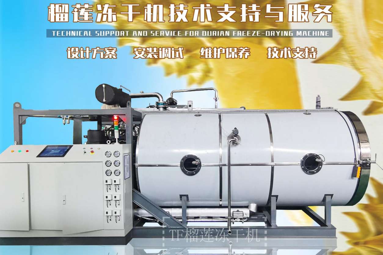 冷凍干燥機|凍干機|真空冷凍干燥機|大型冷凍干燥機|食品凍干機|制藥真空冷凍干燥機|食品凍干設備|制藥冷凍干燥機