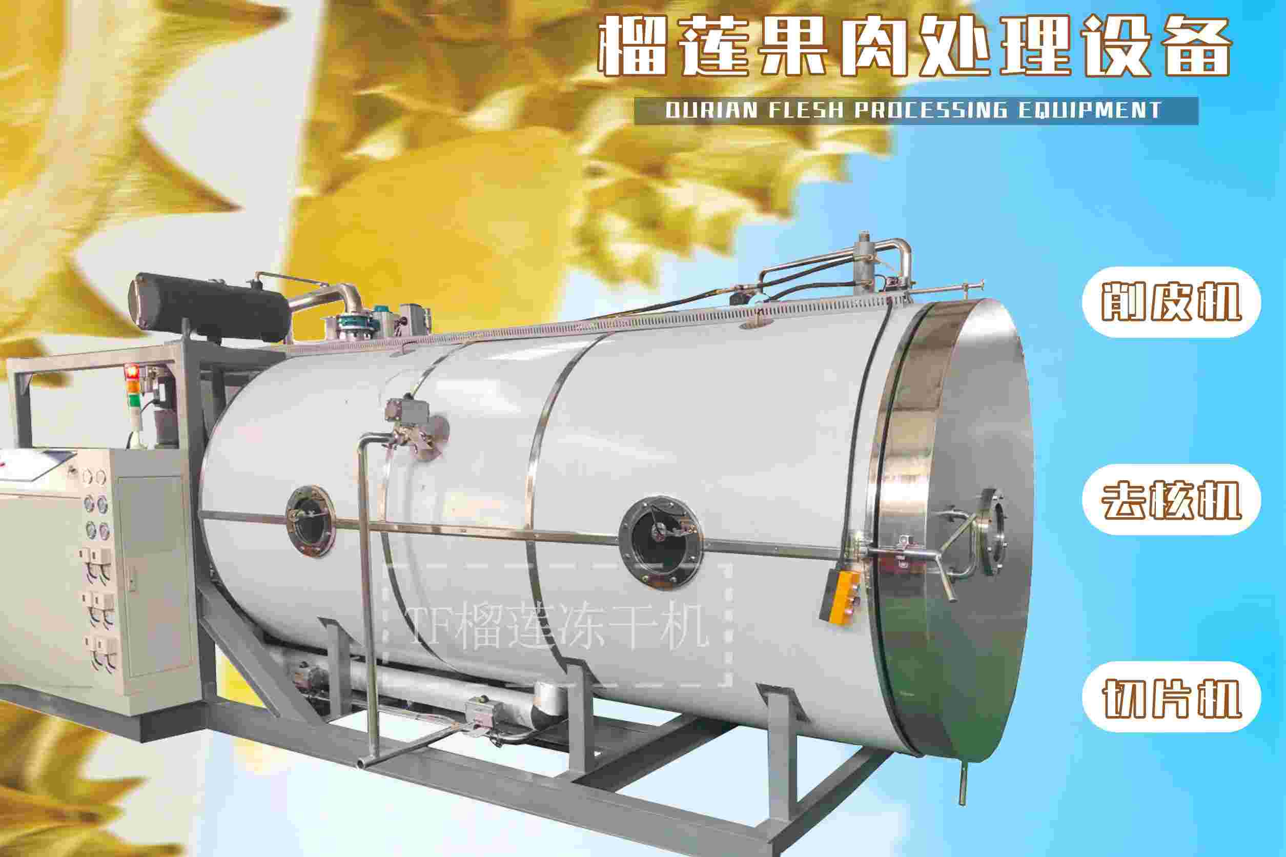 冷凍干燥機|凍干機|真空冷凍干燥機|大型冷凍干燥機|食品凍干機|制藥真空冷凍干燥機|食品凍干設備|制藥冷凍干燥機