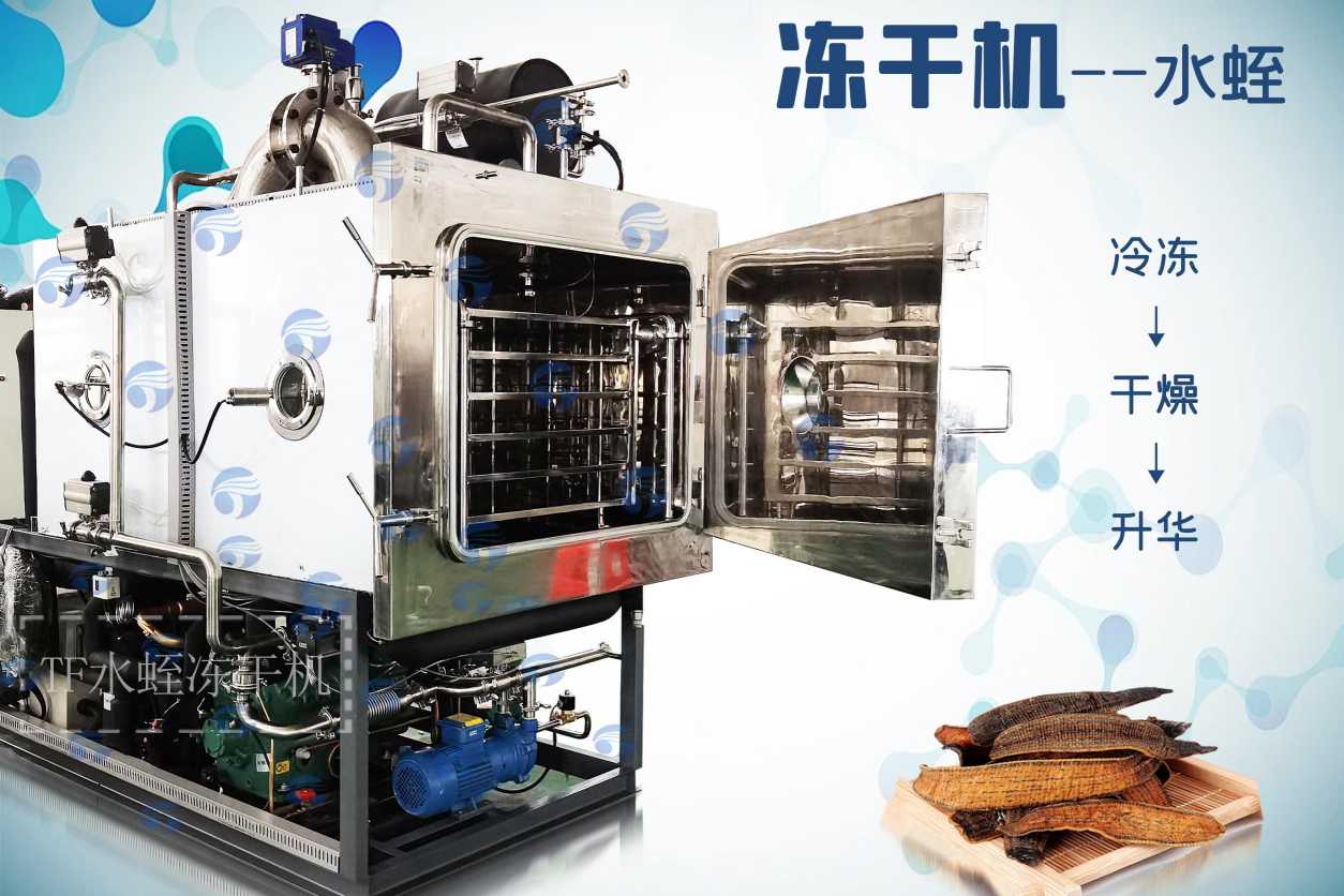 冷凍干燥機|凍干機|真空冷凍干燥機|大型冷凍干燥機|食品凍干機|制藥真空冷凍干燥機|食品凍干設備|制藥冷凍干燥機