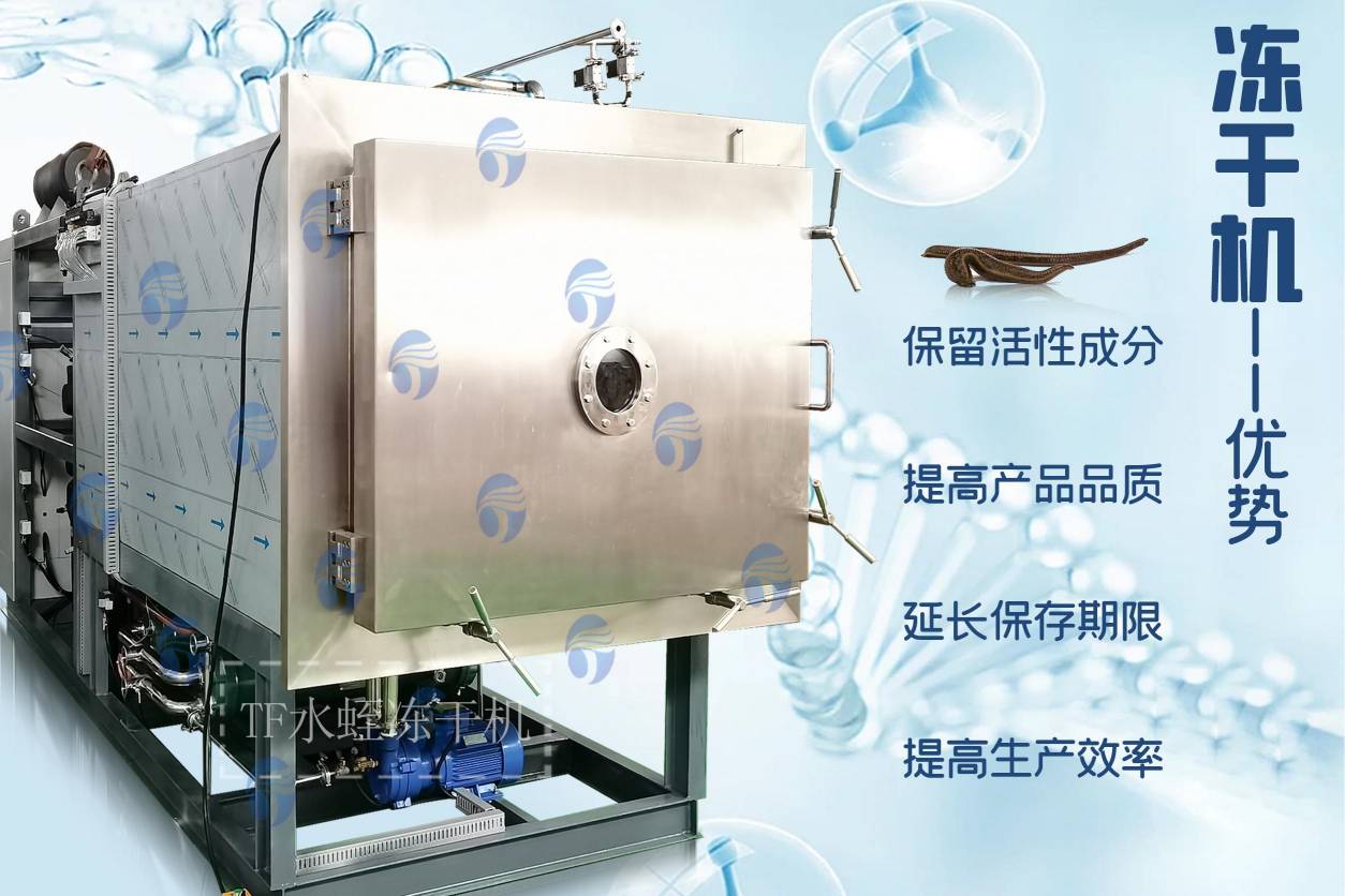 冷凍干燥機|凍干機|真空冷凍干燥機|大型冷凍干燥機|食品凍干機|制藥真空冷凍干燥機|食品凍干設備|制藥冷凍干燥機