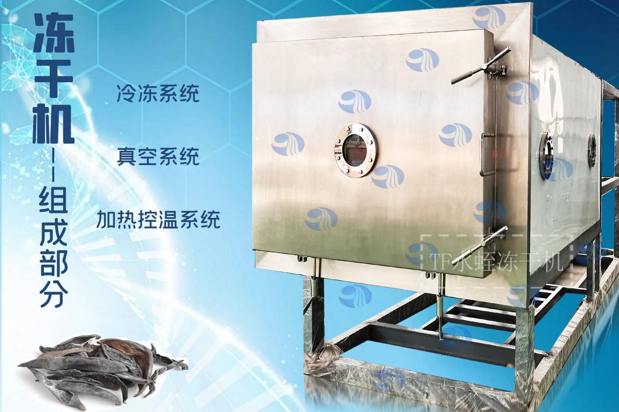 冷凍干燥機|凍干機|真空冷凍干燥機|大型冷凍干燥機|食品凍干機|制藥真空冷凍干燥機|食品凍干設備|制藥冷凍干燥機