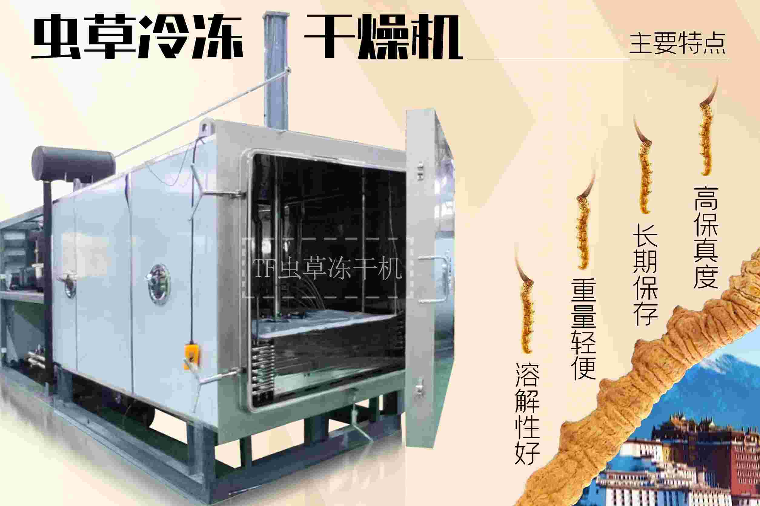 冷凍干燥機|凍干機|真空冷凍干燥機|大型冷凍干燥機|食品凍干機|制藥真空冷凍干燥機|食品凍干設備|制藥冷凍干燥機