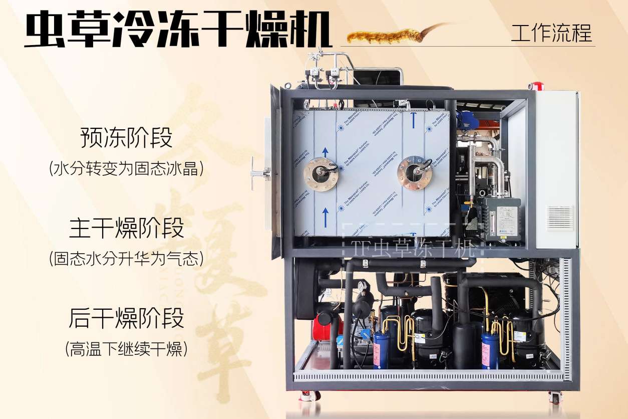 冷凍干燥機|凍干機|真空冷凍干燥機|大型冷凍干燥機|食品凍干機|制藥真空冷凍干燥機|食品凍干設備|制藥冷凍干燥機