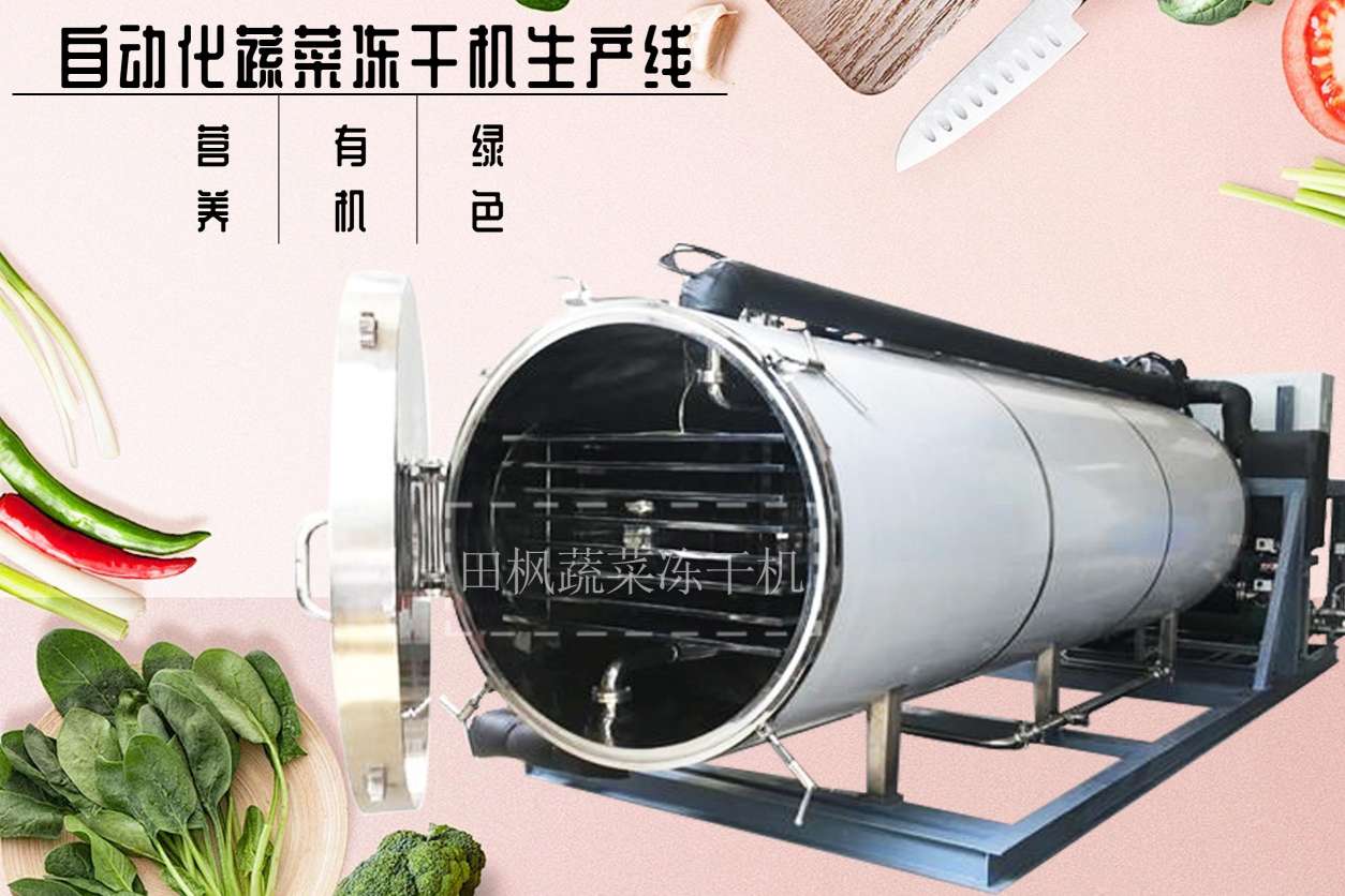 冷凍干燥機(jī)|凍干機(jī)|真空冷凍干燥機(jī)|大型冷凍干燥機(jī)|食品凍干機(jī)|制藥真空冷凍干燥機(jī)|食品凍干設(shè)備|制藥冷凍干燥機(jī)